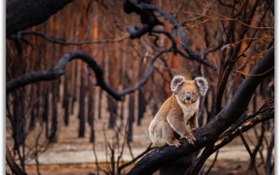 KEY TIPS HOW RESILIENCE WILL GET YOU THROUGH
